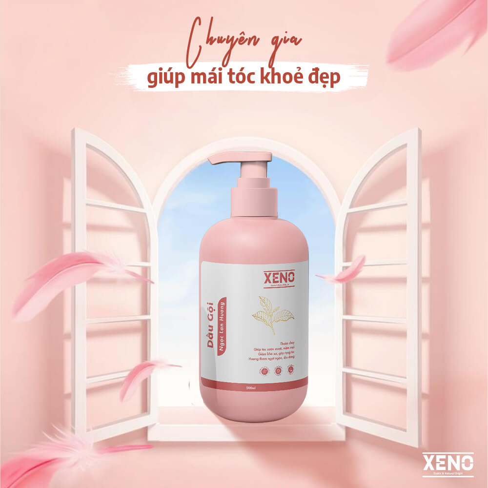 dau-goi-nu
