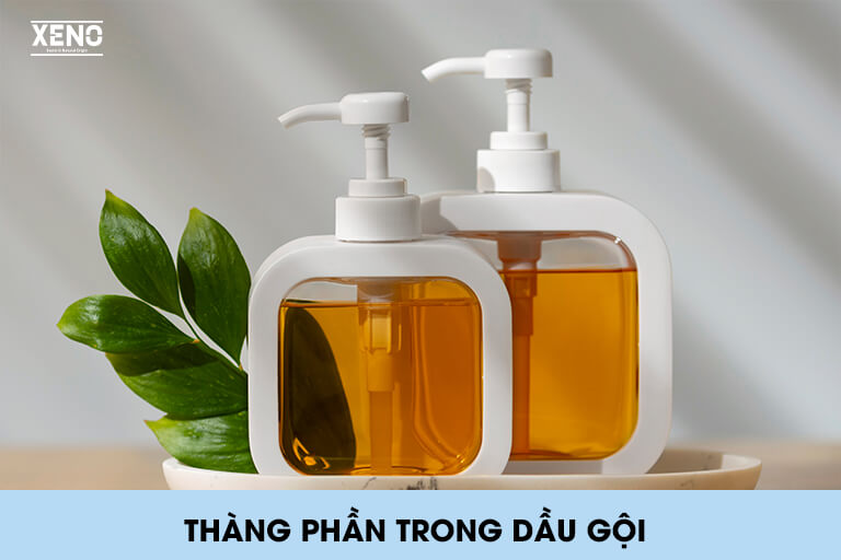 thanh-phan-an-toan-trong-dau-goi