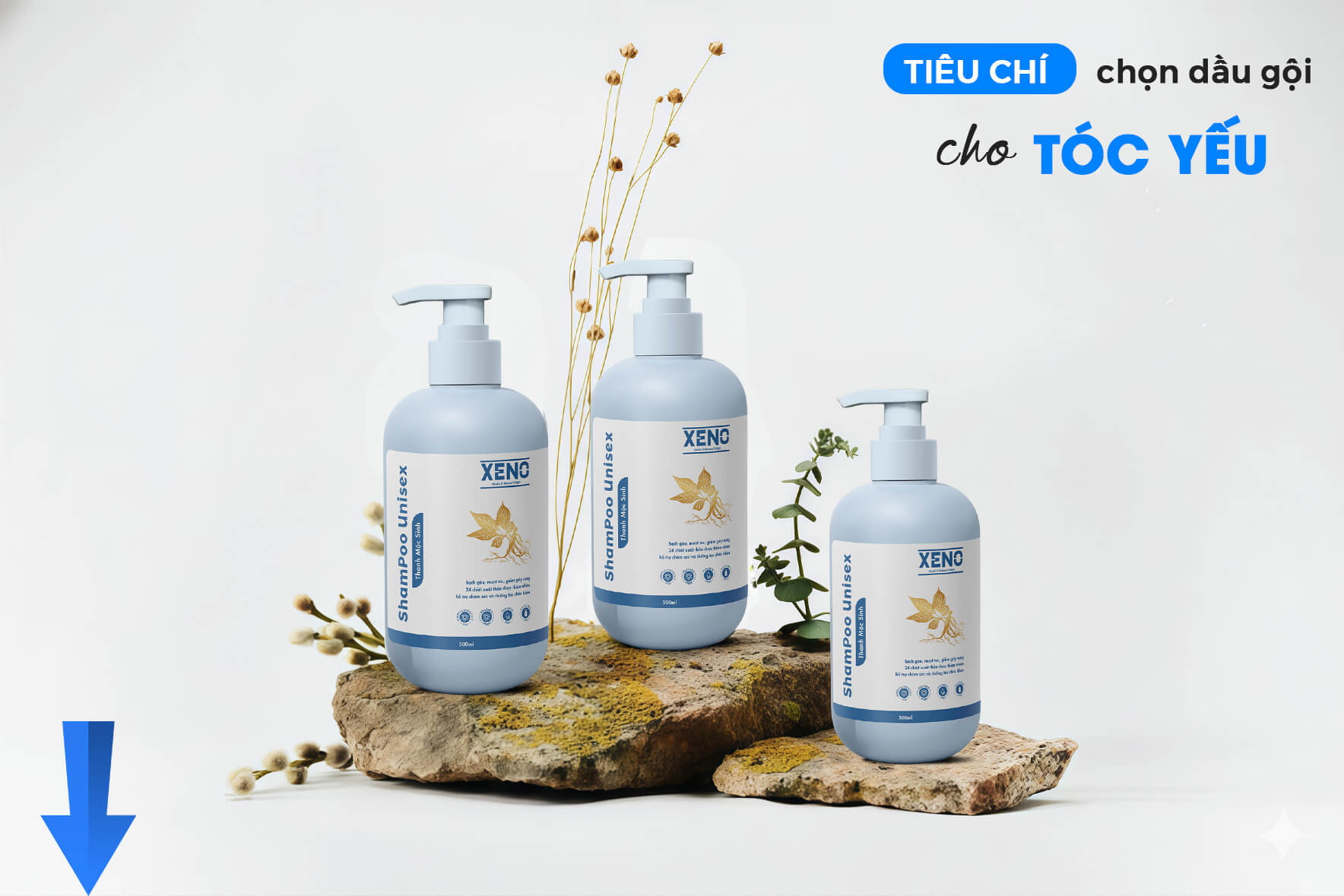dau-goi-cham-toc-yeu